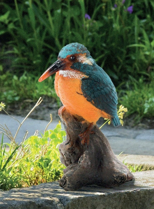 Kingfisher