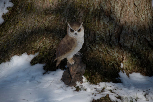 Owl On Trunk L