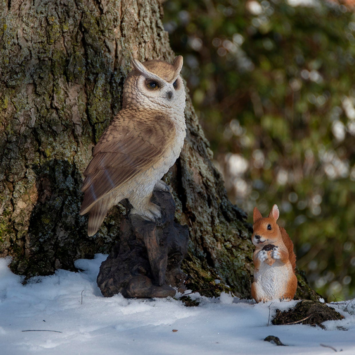 Owl On Trunk L