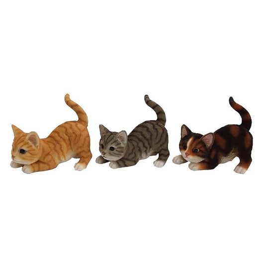 Playing Cat (37000261)