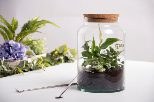 Half Open Terrarium Bottle M