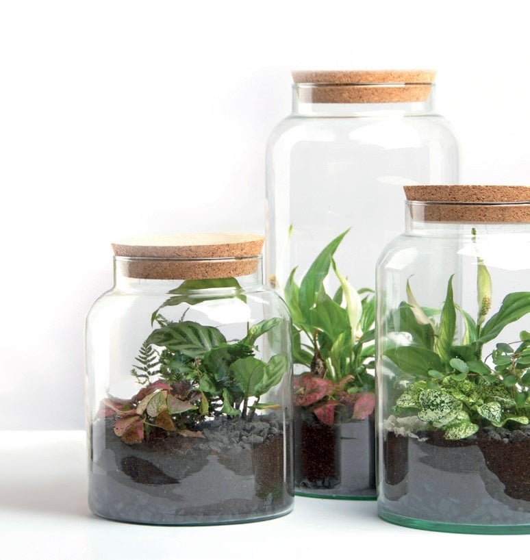 Half Open Terrarium Bottle M