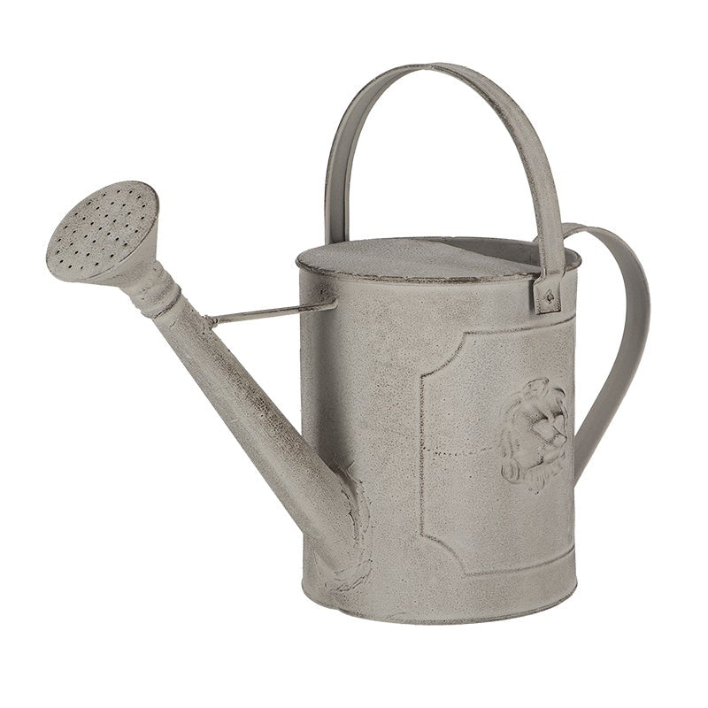 Am Lion Watering Can
