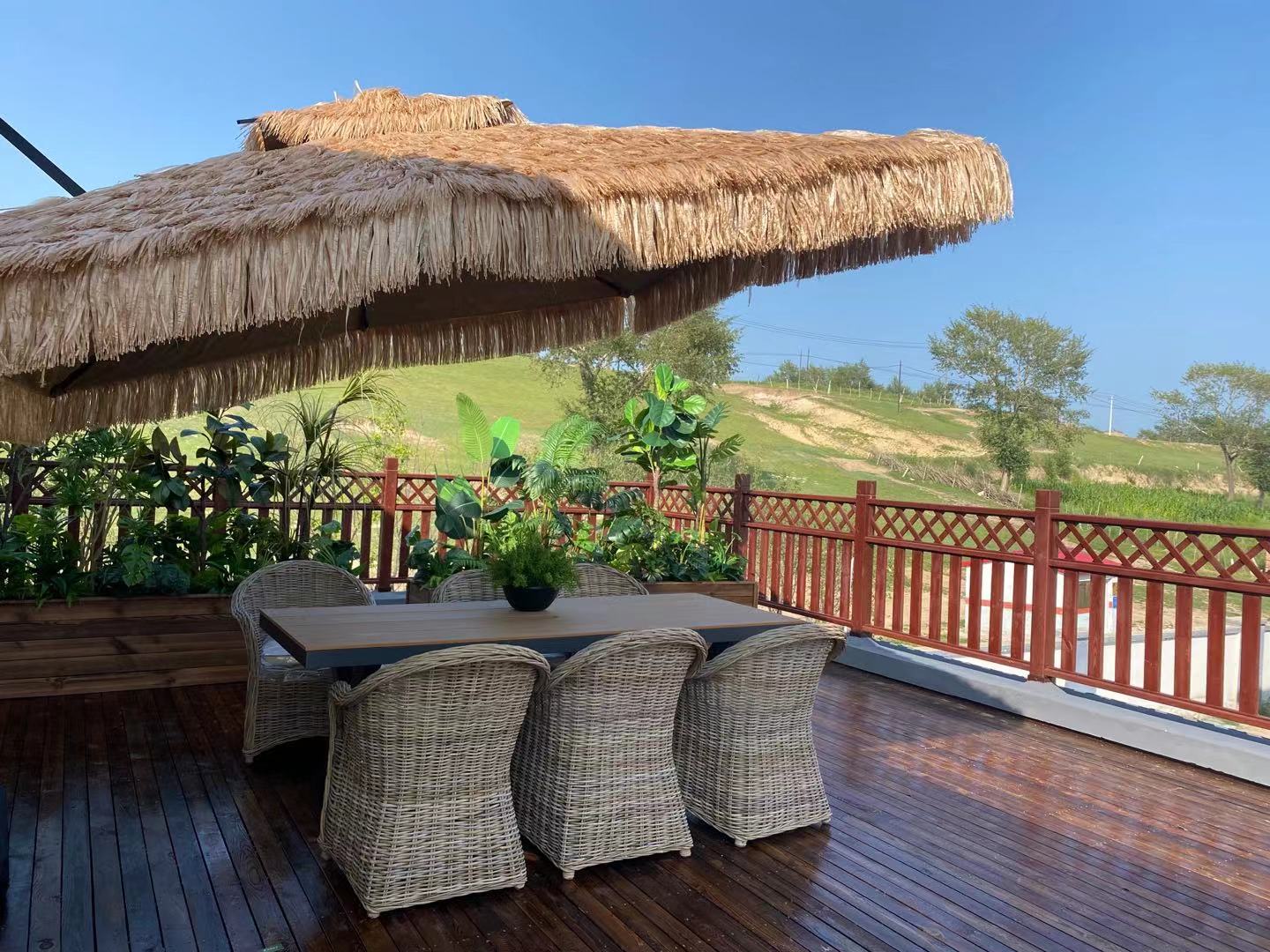 Rattan Arm Chair With Cushion