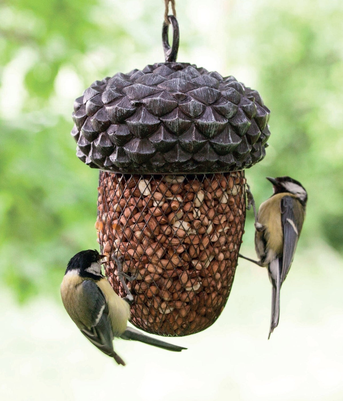 Acorn Bird Feeder, Excl. Bird Food