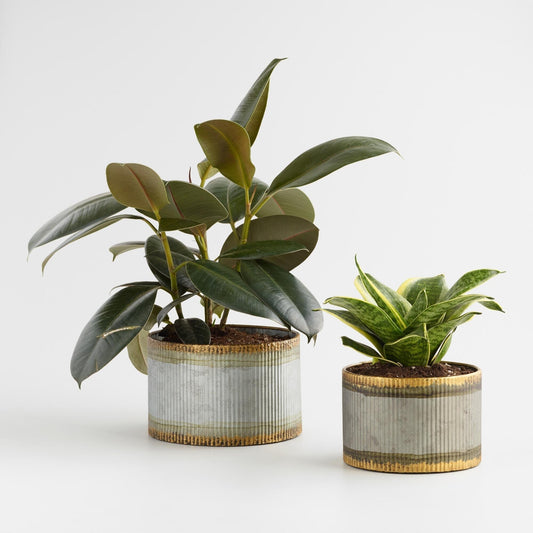 Arete Planter Set 2, Antique With Brass Iron