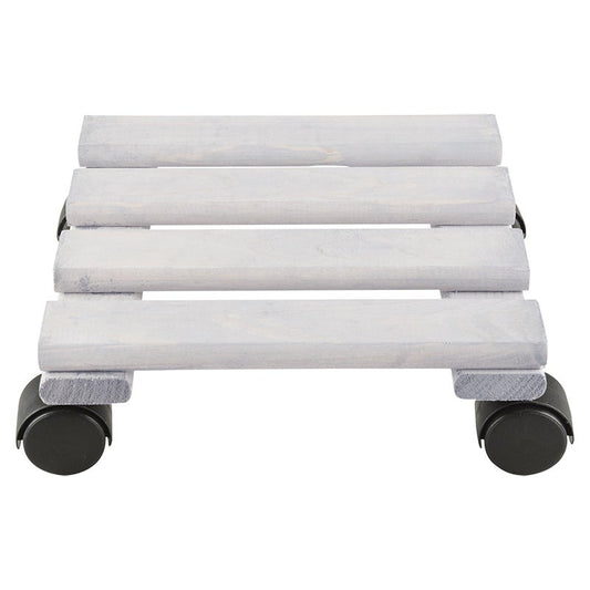 Plant Trolley Square S
