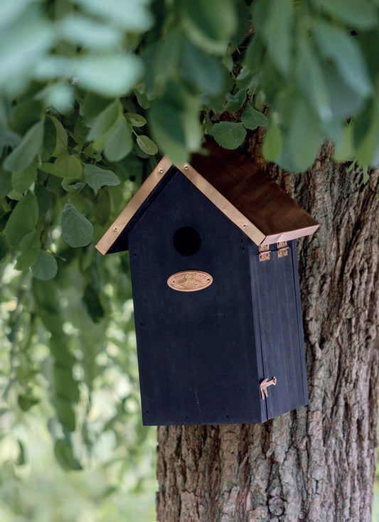 Bird House Black Copper Blue Tit