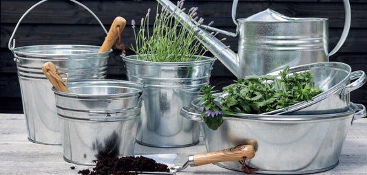 Zinc Oval Watering Can L