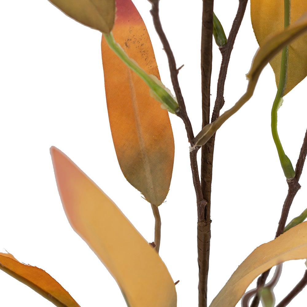 Leaf Branch, Autumn