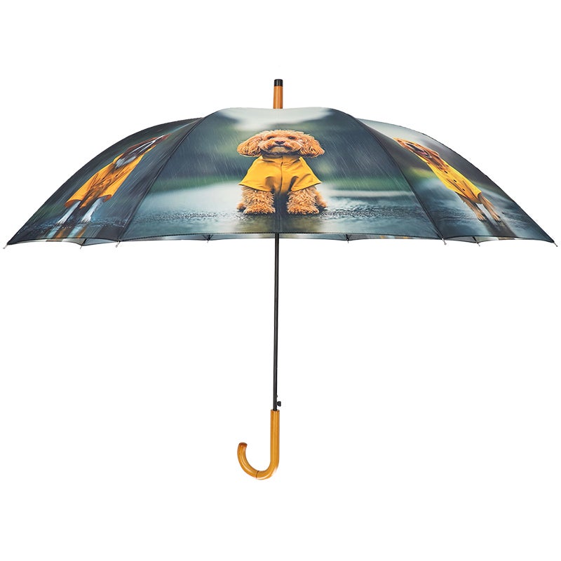 Umbrella Dogs With Rain Jacket