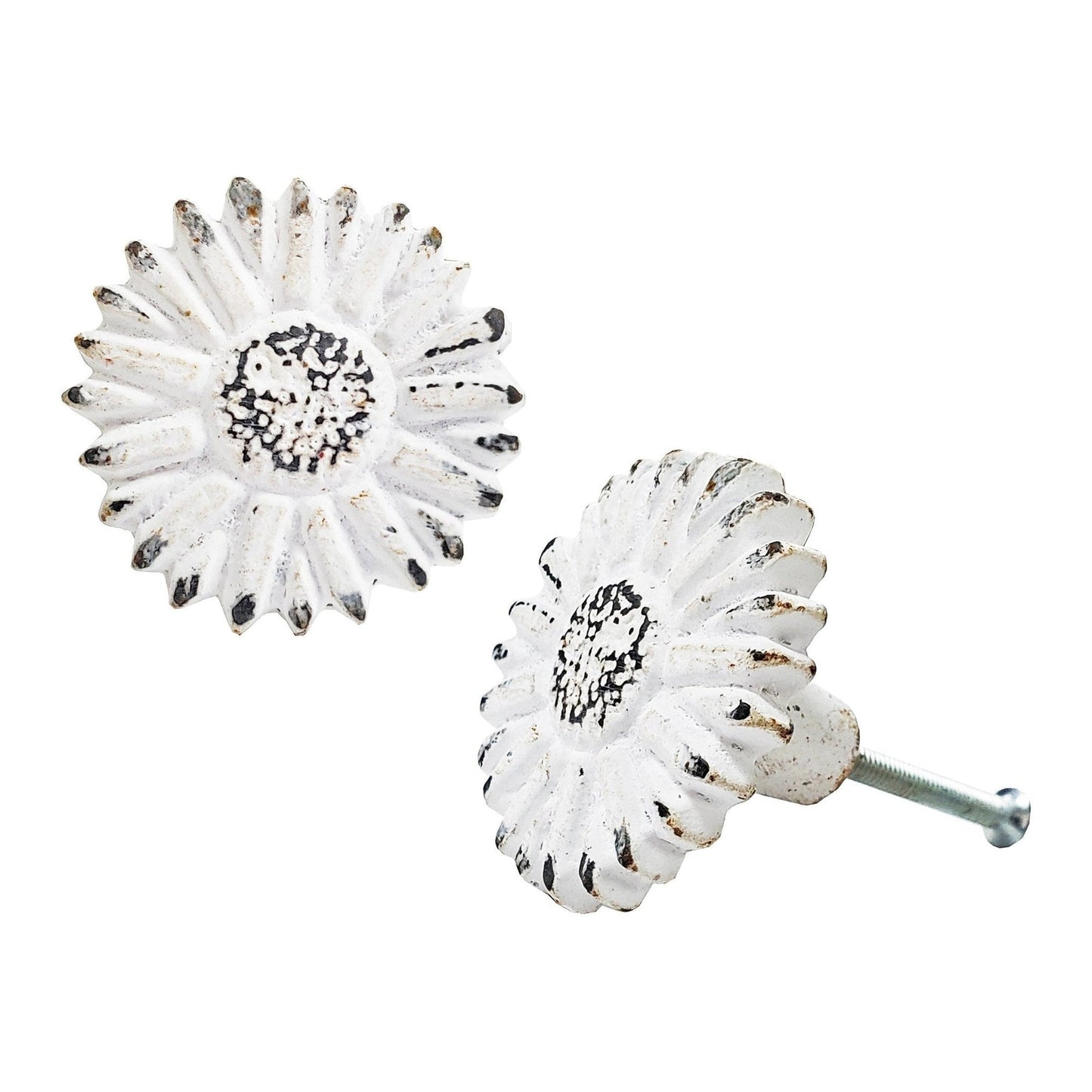 Sun Flower Knob Distressed WT