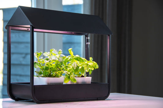 Plant Grow Lamp Greenhouse Black