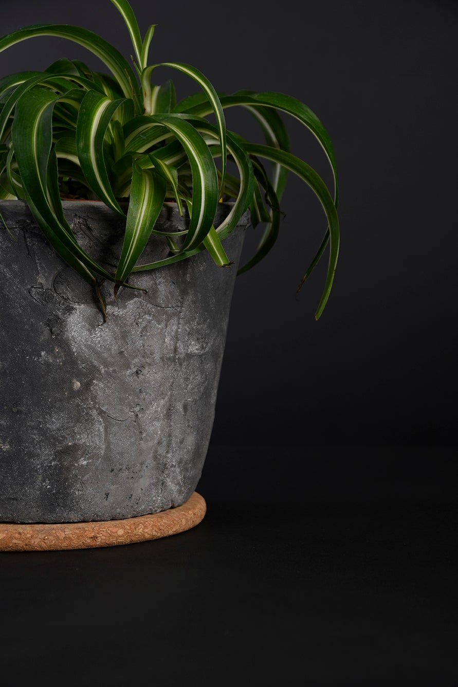 Cork Saucer M