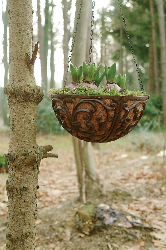 Cast Iron Hanging Basket Hook S