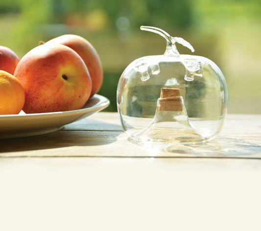 Fruit Fly Trap Apple