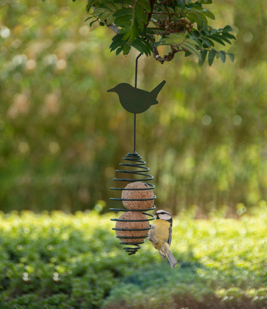 Birdspring ~ Assorted, Excl. Bird Food
