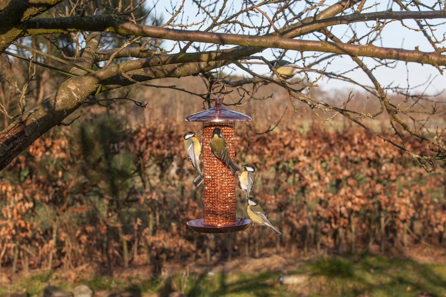 Copperplated Nut Feeder, Excl. Bird Food