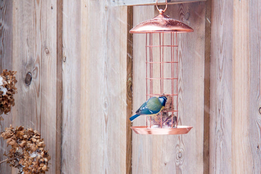 Copperplated  Suetball Dispenser, Excl. Bird Food