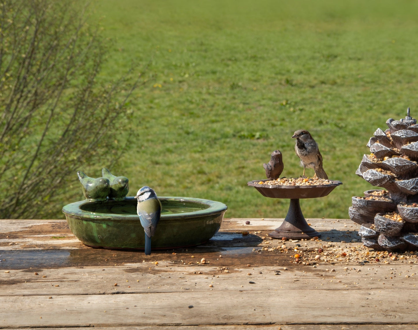 Ceramic Round Bird Bath ~ Assorted