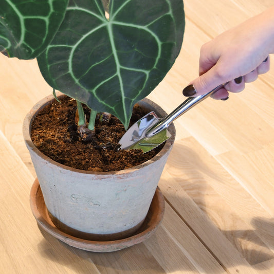 Indoor Garden Shovel