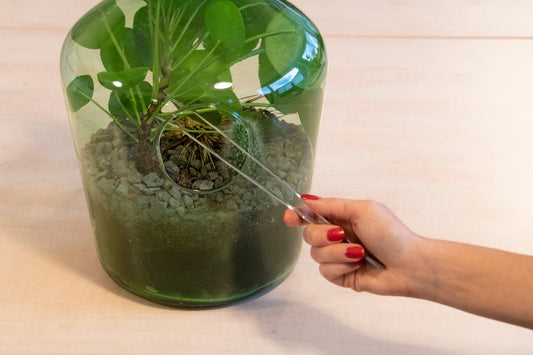 Terrarium Tweezer