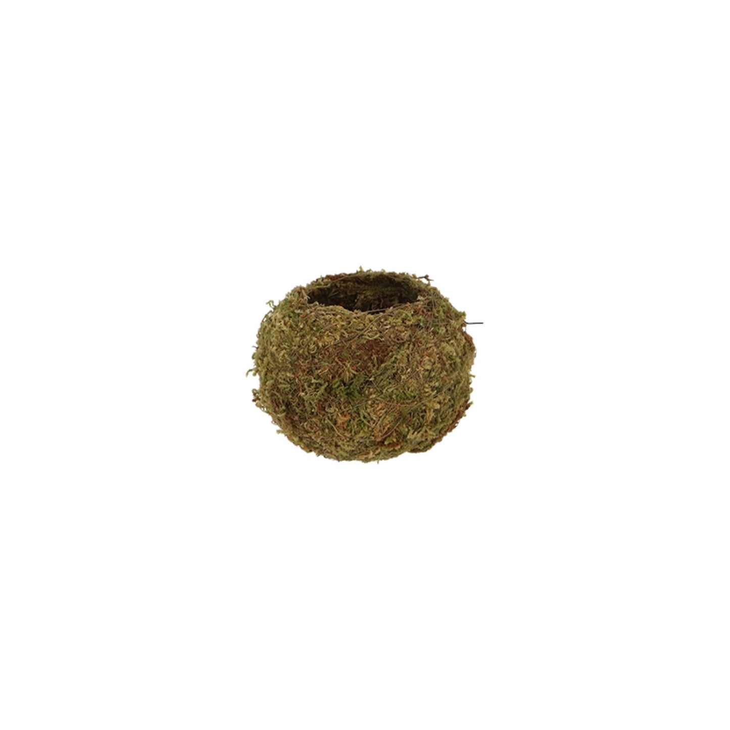 Kokedama Ball S