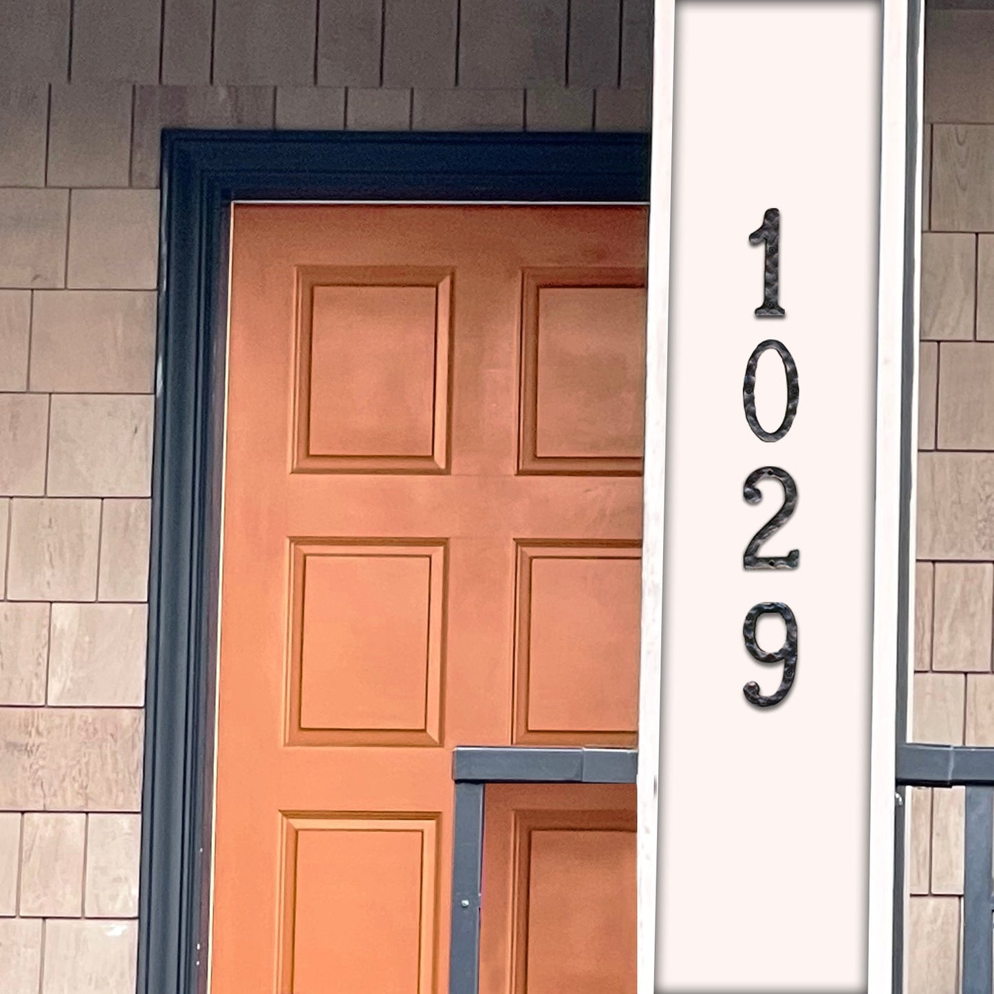 Cast iron number 6or9, 5.5 in (JS-RUSTICNUMBER-9)
