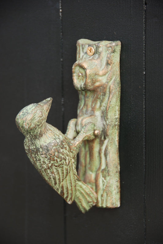Doorknocker Woodpecker