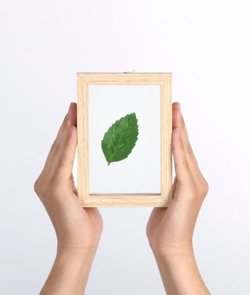 Floating Frame S (ML033)