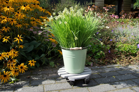 Plant Trolley Round L