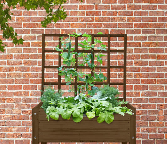 Brown Raised Bed Trellis S