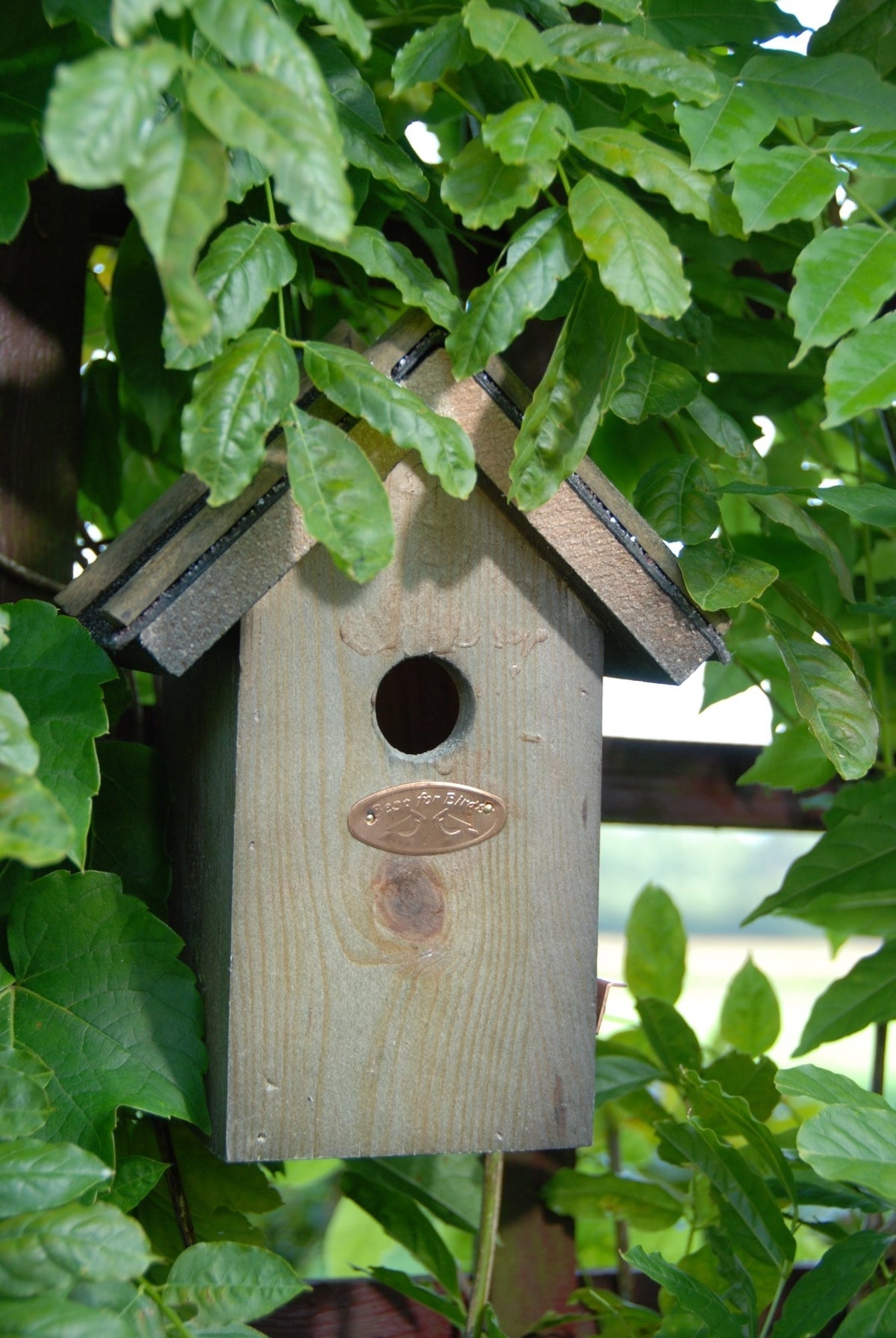 Nest Box Wren Bitumen Roof