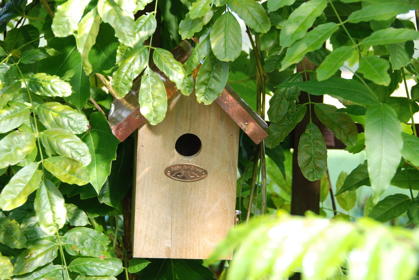 Nest Box Wren Copper Roof