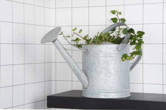 Old Zinc Watering Can 8,75 Lt