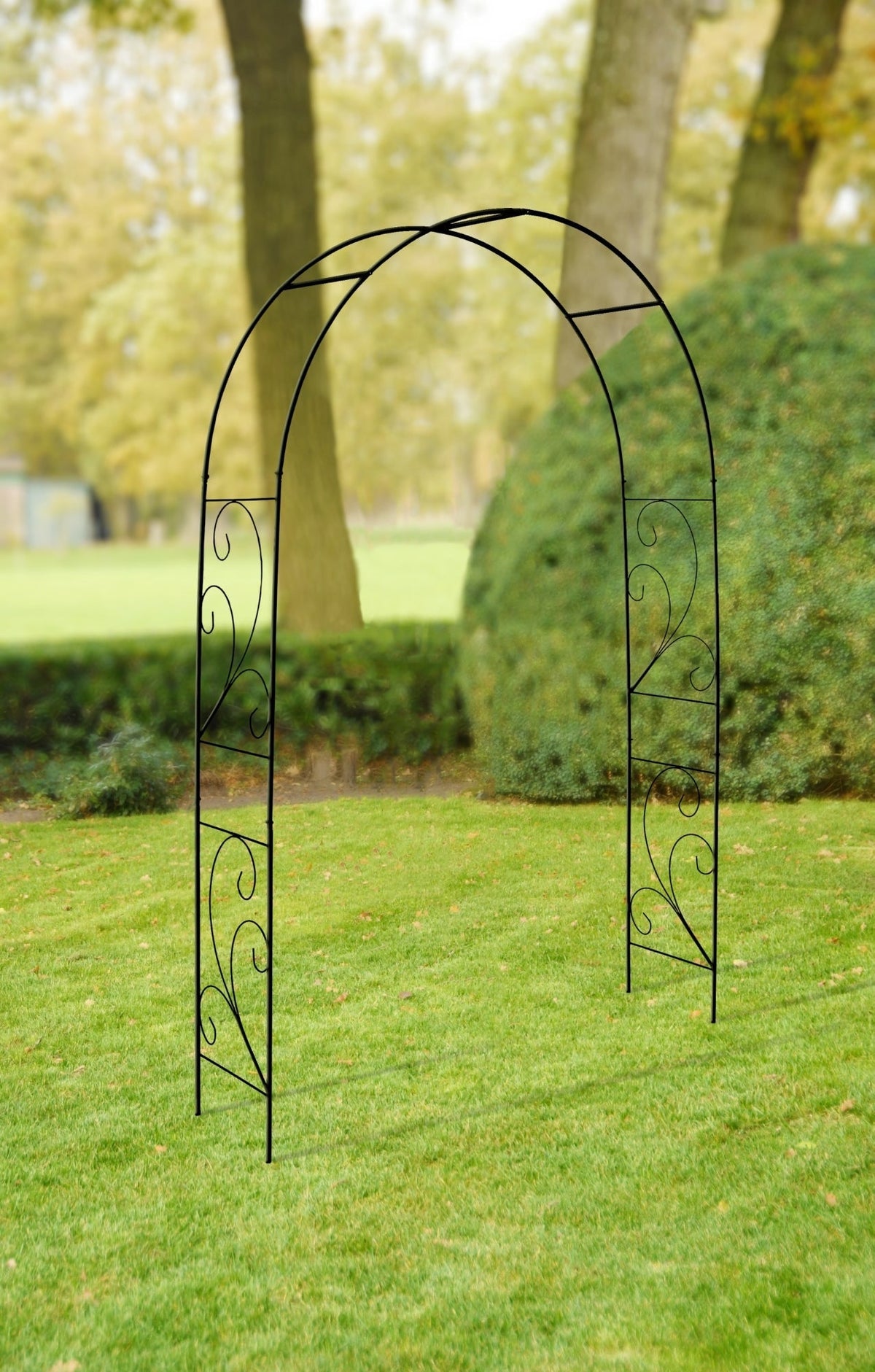 Rose Arch Scroll