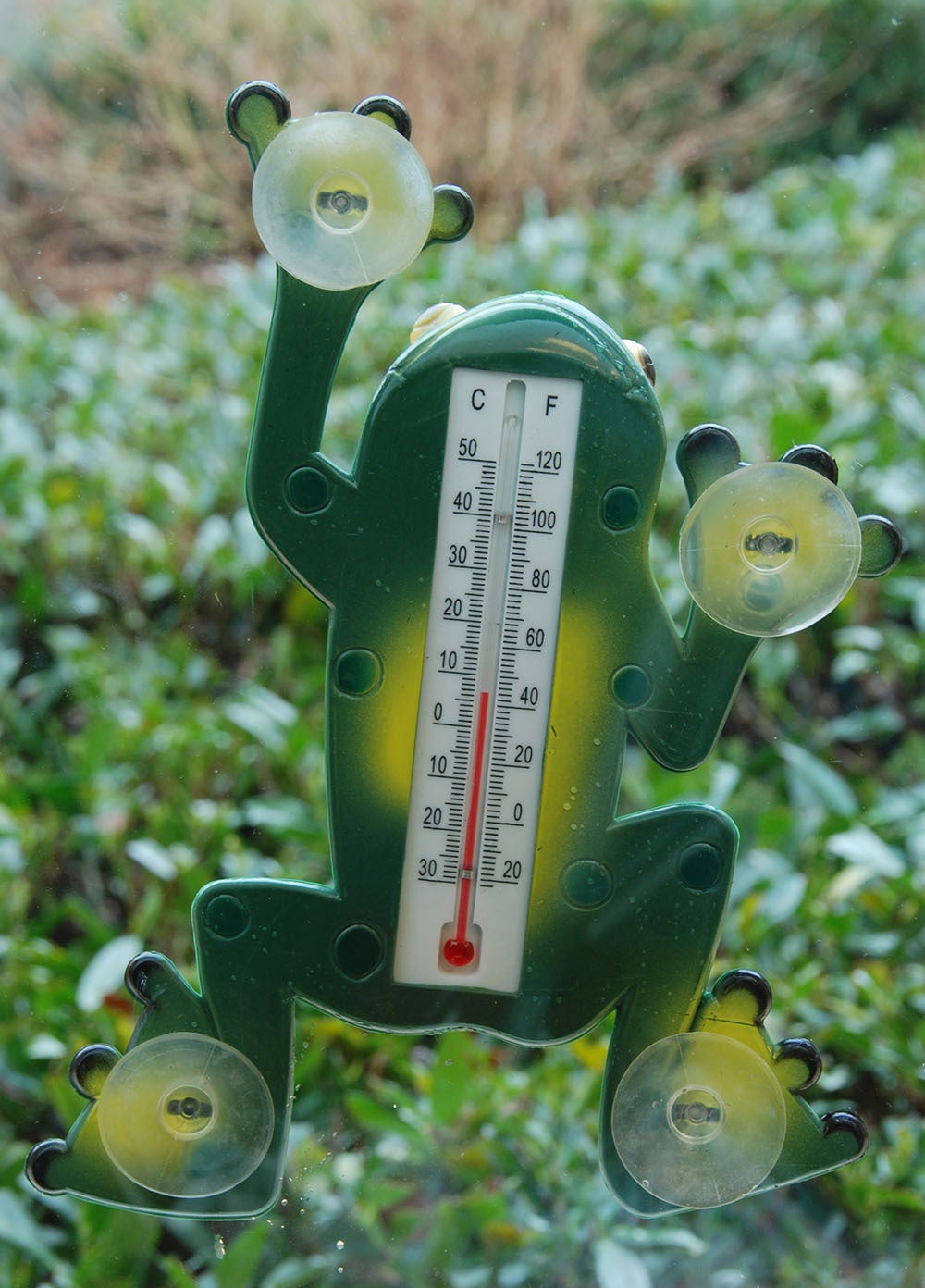 Frog Thermometer (TH49)