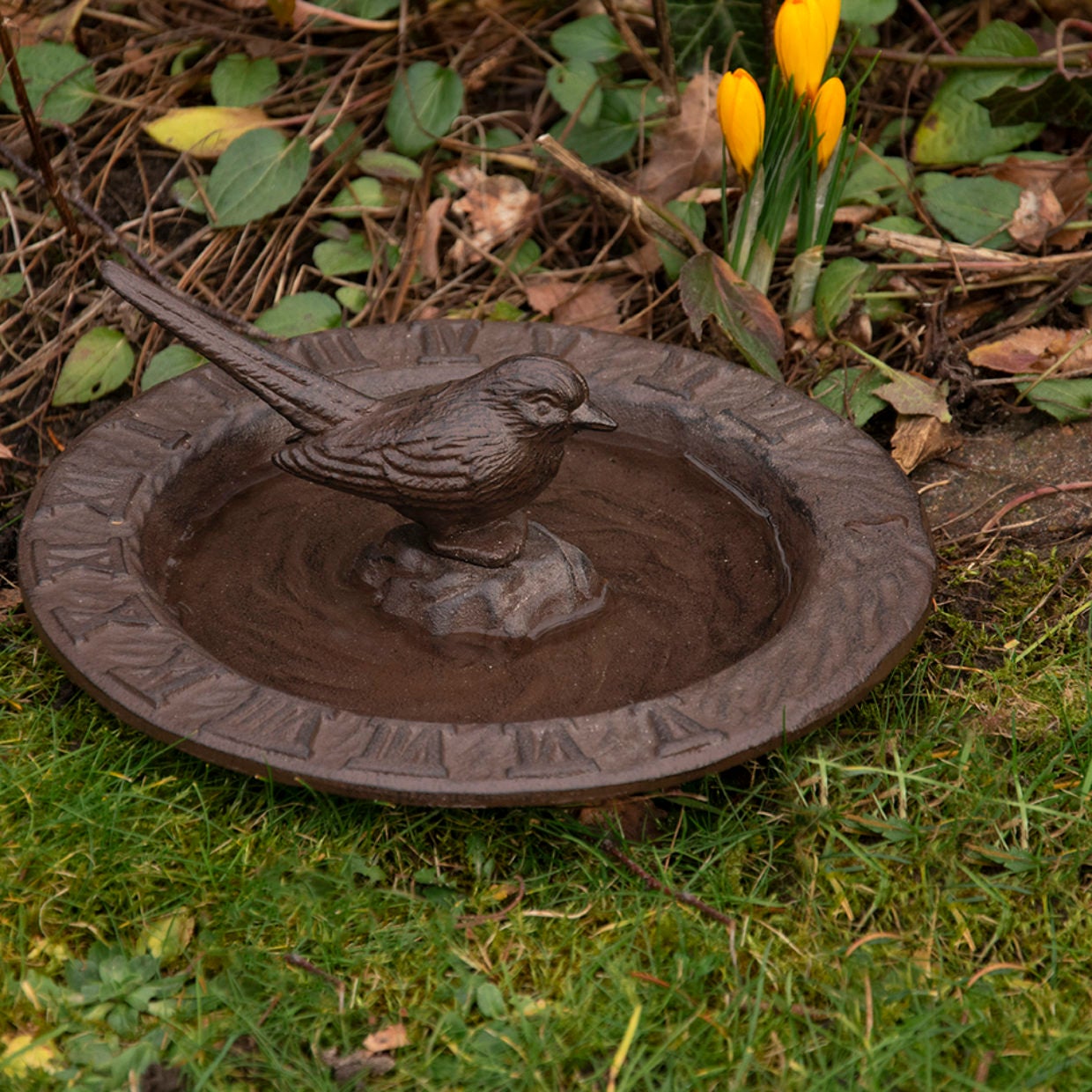 Sun Dial And Bird Bath