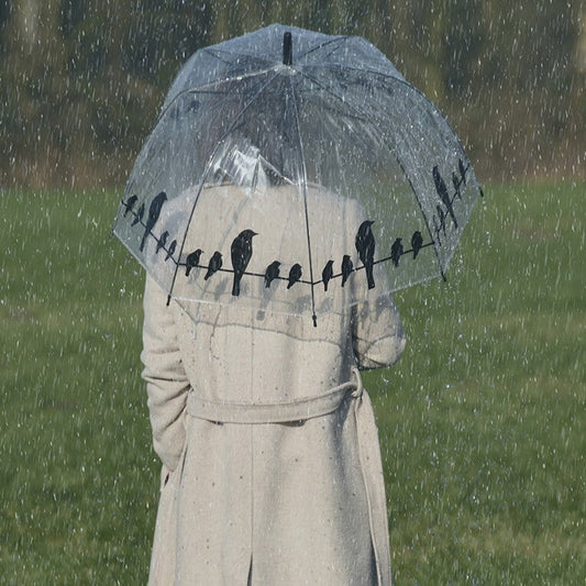 Umbrella Transparent Birds On Wire