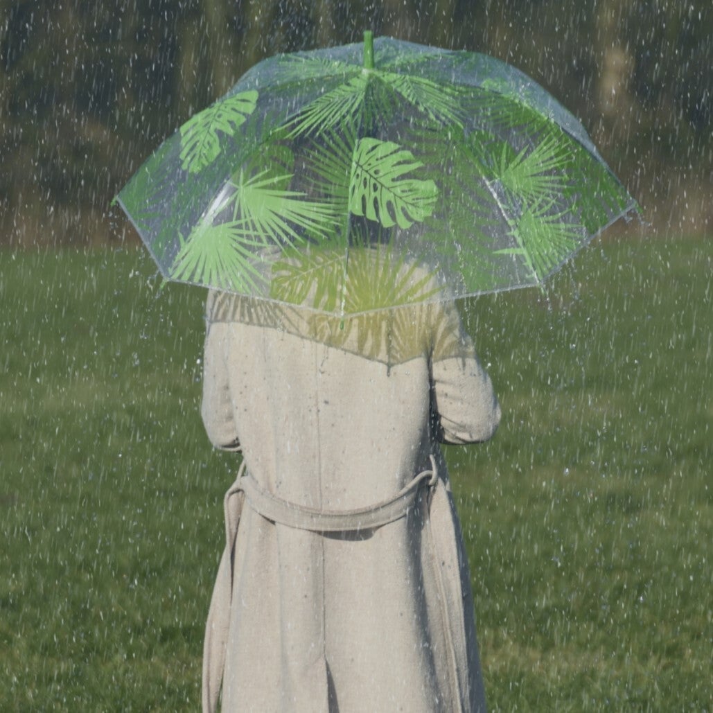 Umbrella Transparent Jungle Leaves