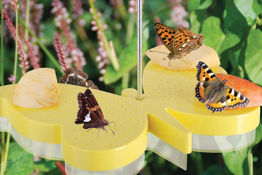 Butterfly Feeder (WA11)