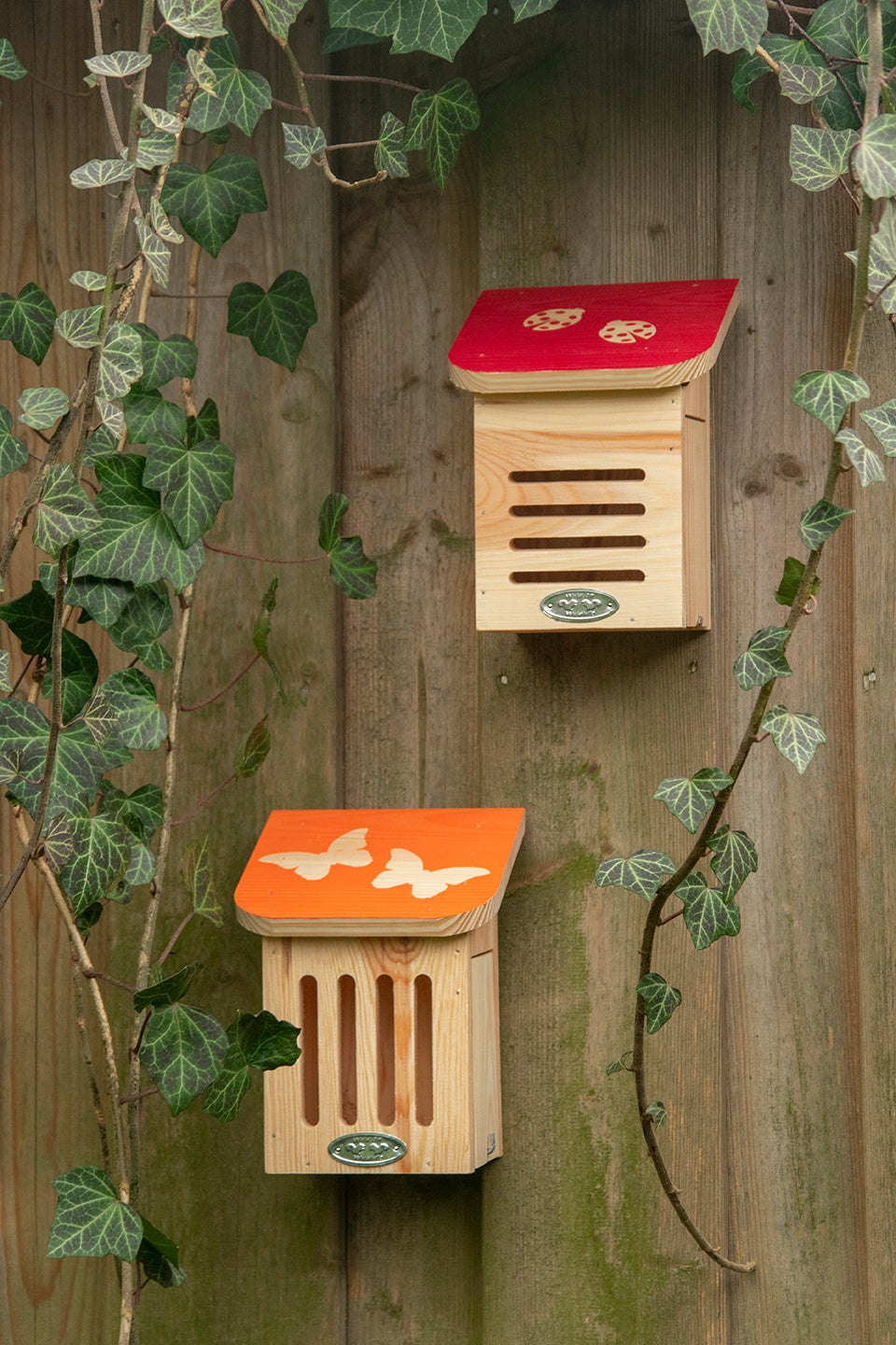 Diapositive Bee House