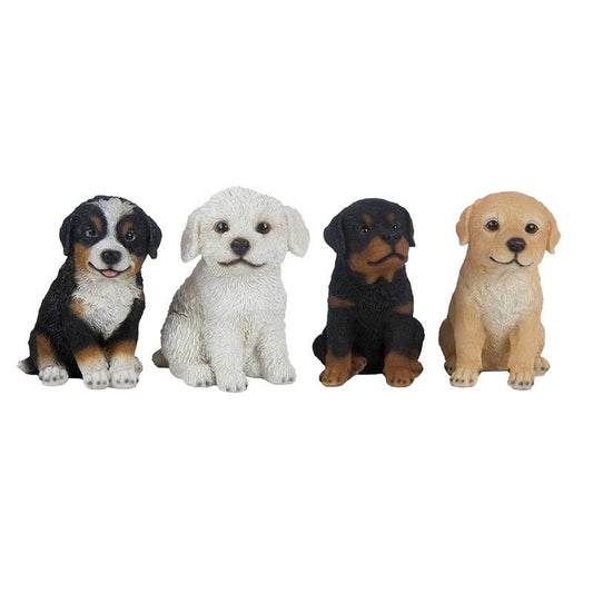 Pup Assorted , Resin