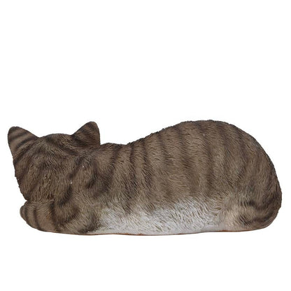 Sleeping Cat