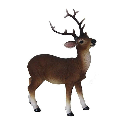 Red Deer S