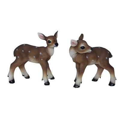 Fawn