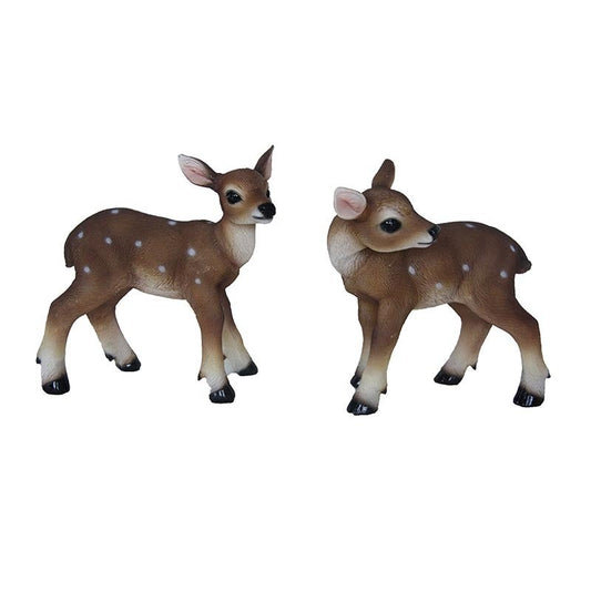Fawn