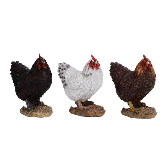Standing Hen