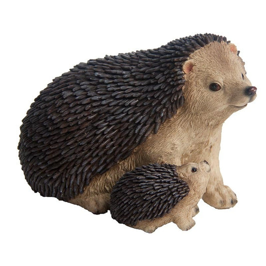 Hedgehog With Baby