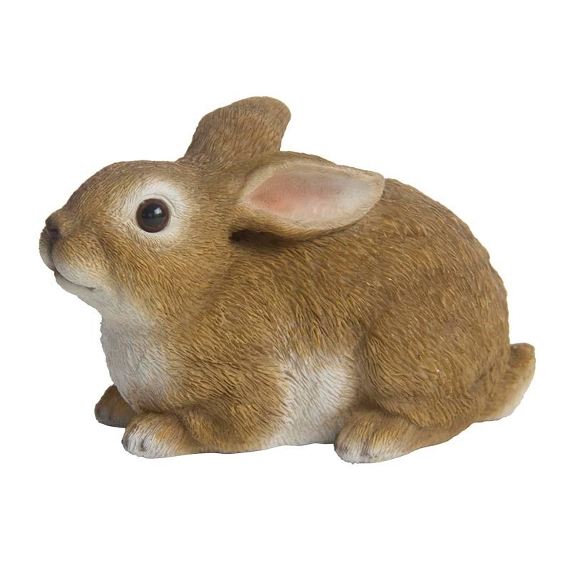 Rabbit Lying M